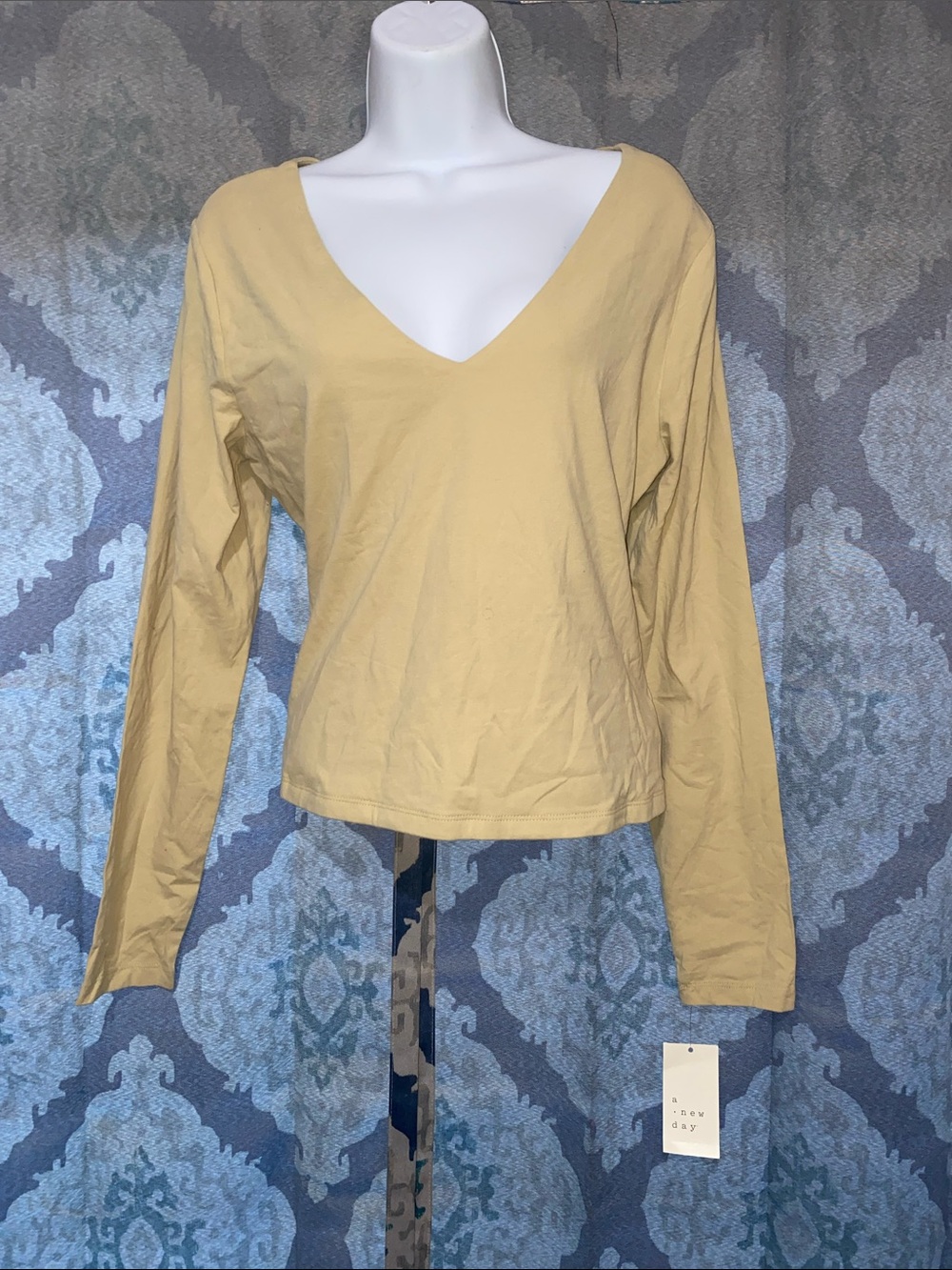 a new day V-Neck Long Sleeve Top in Pale Yellow